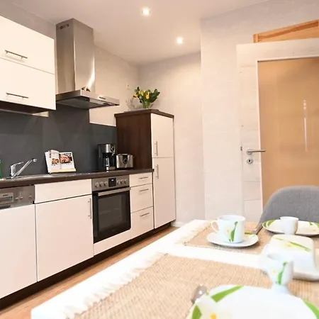 Moderne Ferienwohnung Mitten Im Erzgebirge Netflix Appartement *