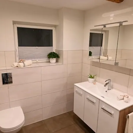 Moderne Ferienwohnung Mitten Im Erzgebirge Netflix Muldenhammer